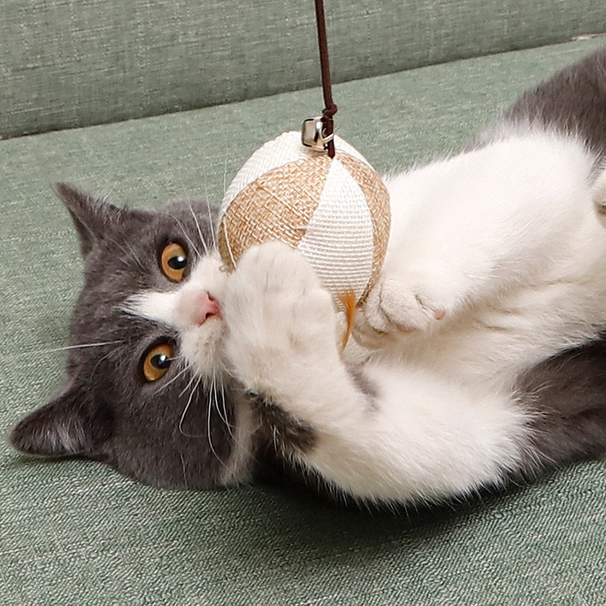  Katten Speeltjes Katten Speelgoed Kattenspeeltjes Katten Hengel Bal – Wit Bruin