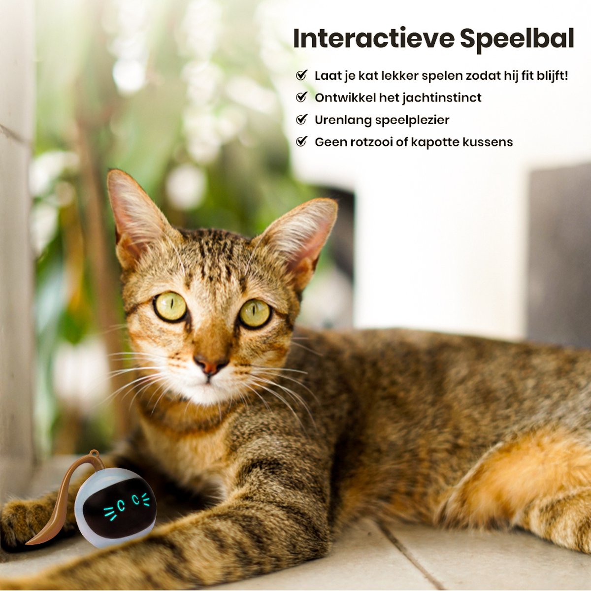  Otiume Interactieve Speelbal - Slimme Interactieve Jaag Speeltje Voor Katten - Kattenspeeltjes - Intelligente Jaagbal - AI -USB Oplaadbaar - LED - Blauw