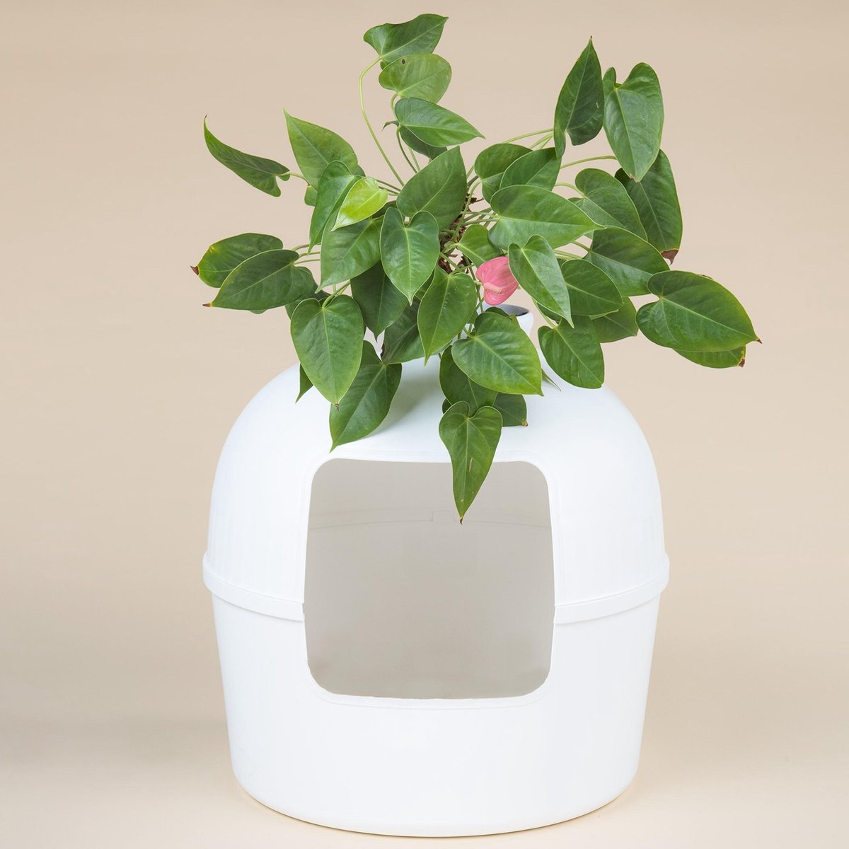  XXL Kattenbak – Verborgen Kattentoilet – Flower XXL Wit Voor Grote Katten Van RHRQuality