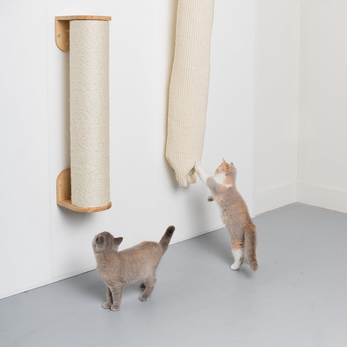  RHRQuality Wandmeubel Wandmontage Klimmuur Kat 175 X 16cm Klim En Klauterzak Beige Wand Muur Krabpaal Katten Muurbevestiging