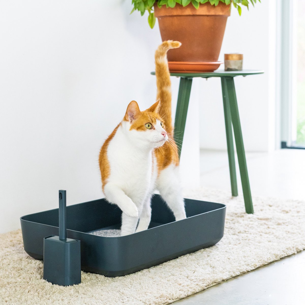  Hoopo® Poh Kattenbak Grijs - Open Kattenbak - Design Kattenbak - Kattenbakschep - 50x37.5x12.7 Cm - Grote Kattenbak