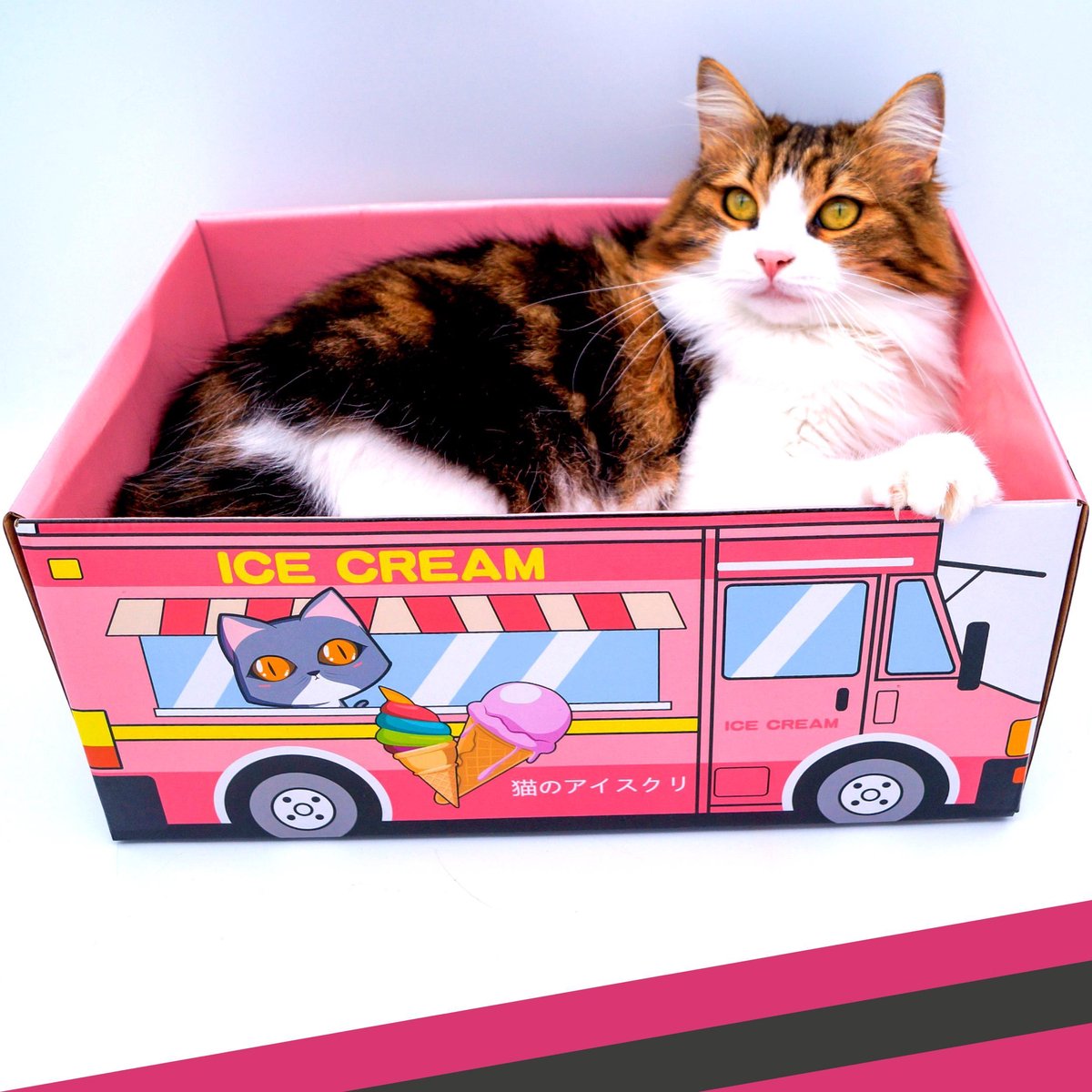  Make Me Purr Kattendoos Van Karton (Ice Cream) - Inclusief Kartonnen Krabmat - Speelgoed Doos Voor Katten Met Krab Mat - Kat Krabpaal Speeltje - Kattenbed Kattenmand Kattenhuis Kattentunnel - Kattenspeelgoed - Kattenspeeltjes - Kitten Speeltjes