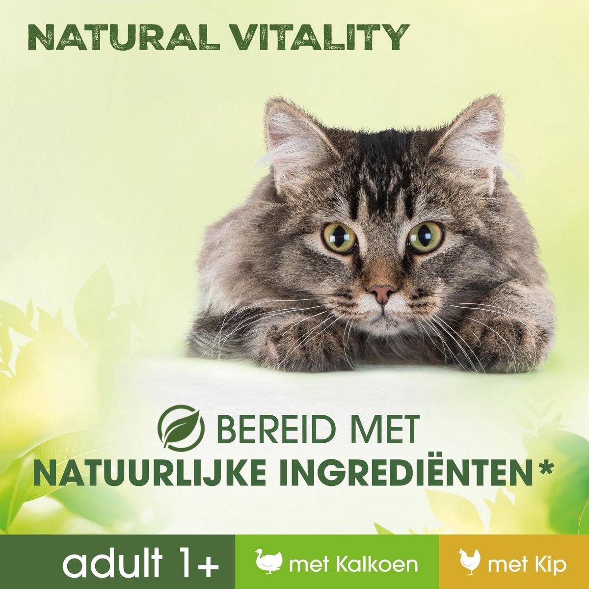  Perfect Fit Adult 1+ Katten Natvoer - Kalkoen &amp; Kip - 36 X 50 Gr