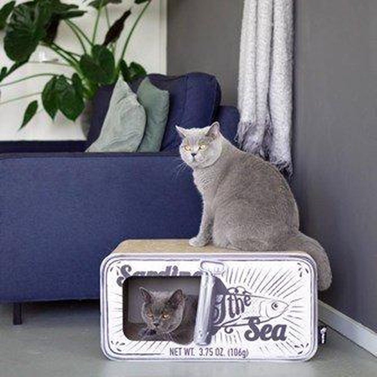  District 70 SARDINE - Design Katten Krabmeubel Van Gerecycled Karton - Zwart, Wit Of Perzik - Afmeting 60x30x30 Cm - Perzik