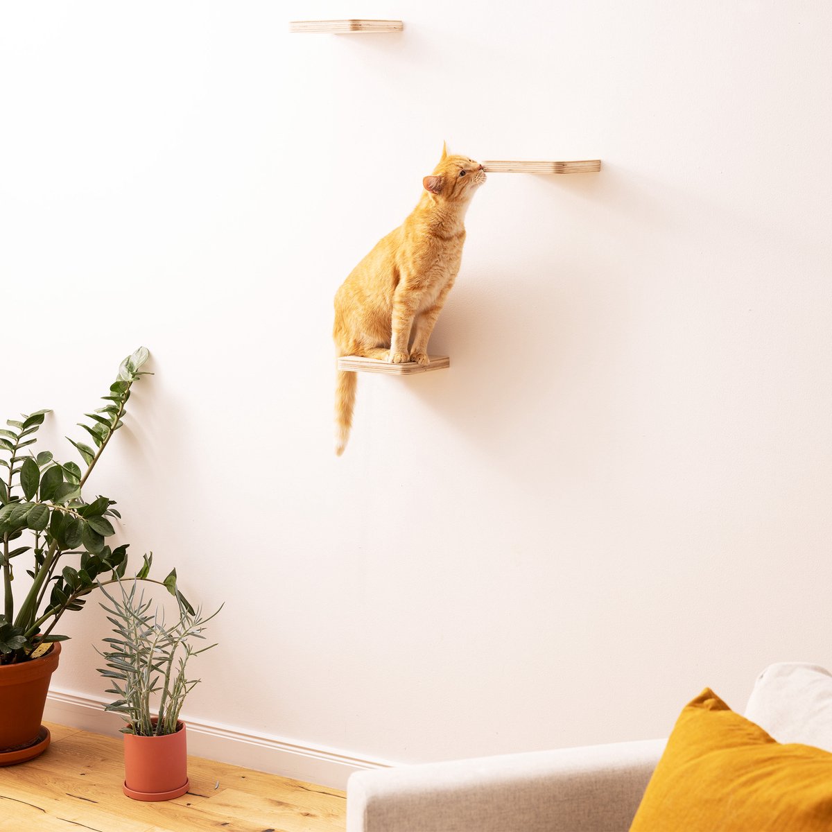  Navaris Katten Klimmuur 3 Tredes - 18 X 18 X 1,5 Cm Per Plankje - Katten Klimwand Van Hout - Inclusief Bevestigingsmateriaal