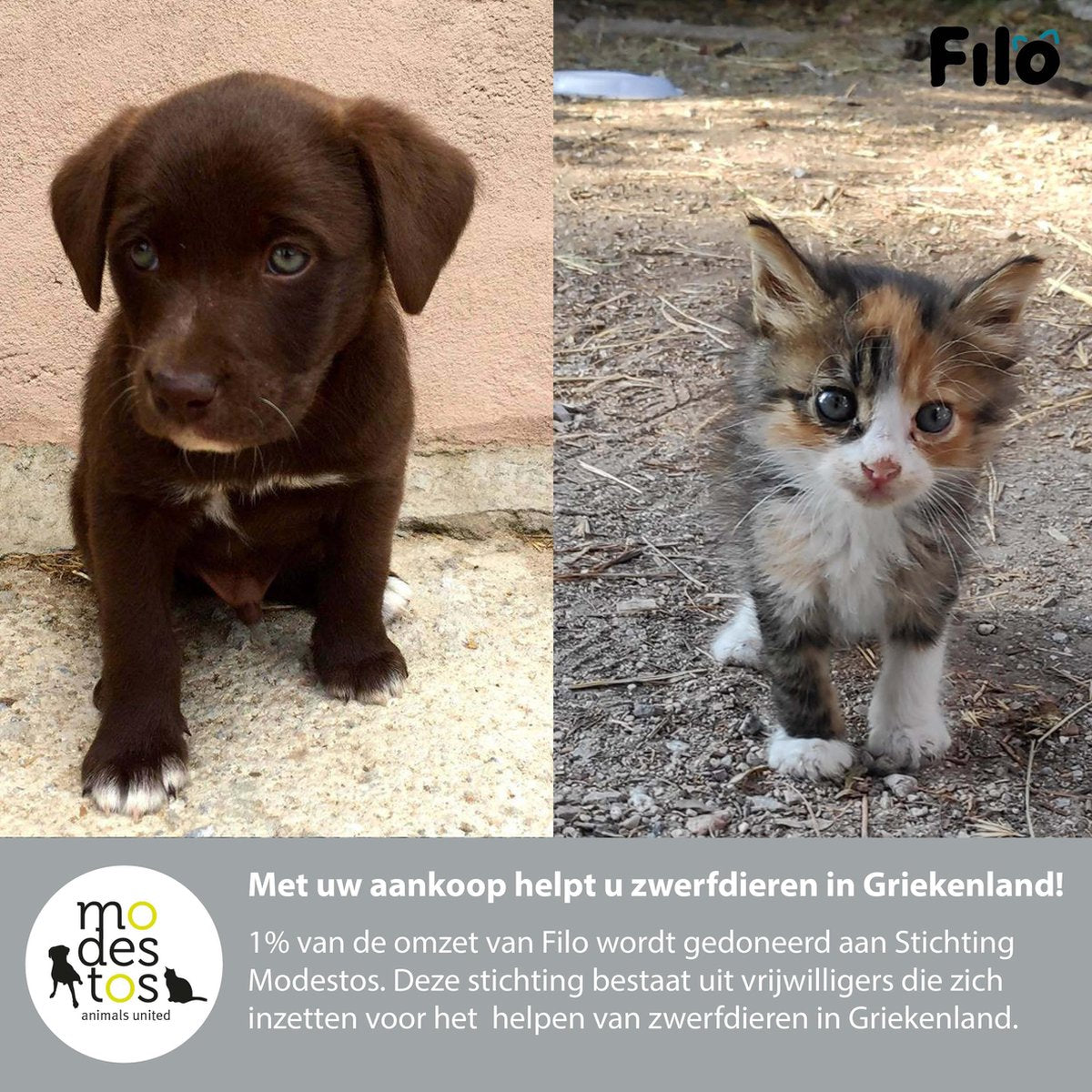  Filo Elektrisch Kattenspeeltje Bewegende Vis 30CM Met Kattenkruid + Goudvis 20CM - Interactief Speelgoed Katten - Elektronisch Kattenspeelgoed - Dansende Elektrische Speelvis Kat - Kattenspeeltjes Intelligentie - Speelgoed Kittens - Speeltjes Kitten
