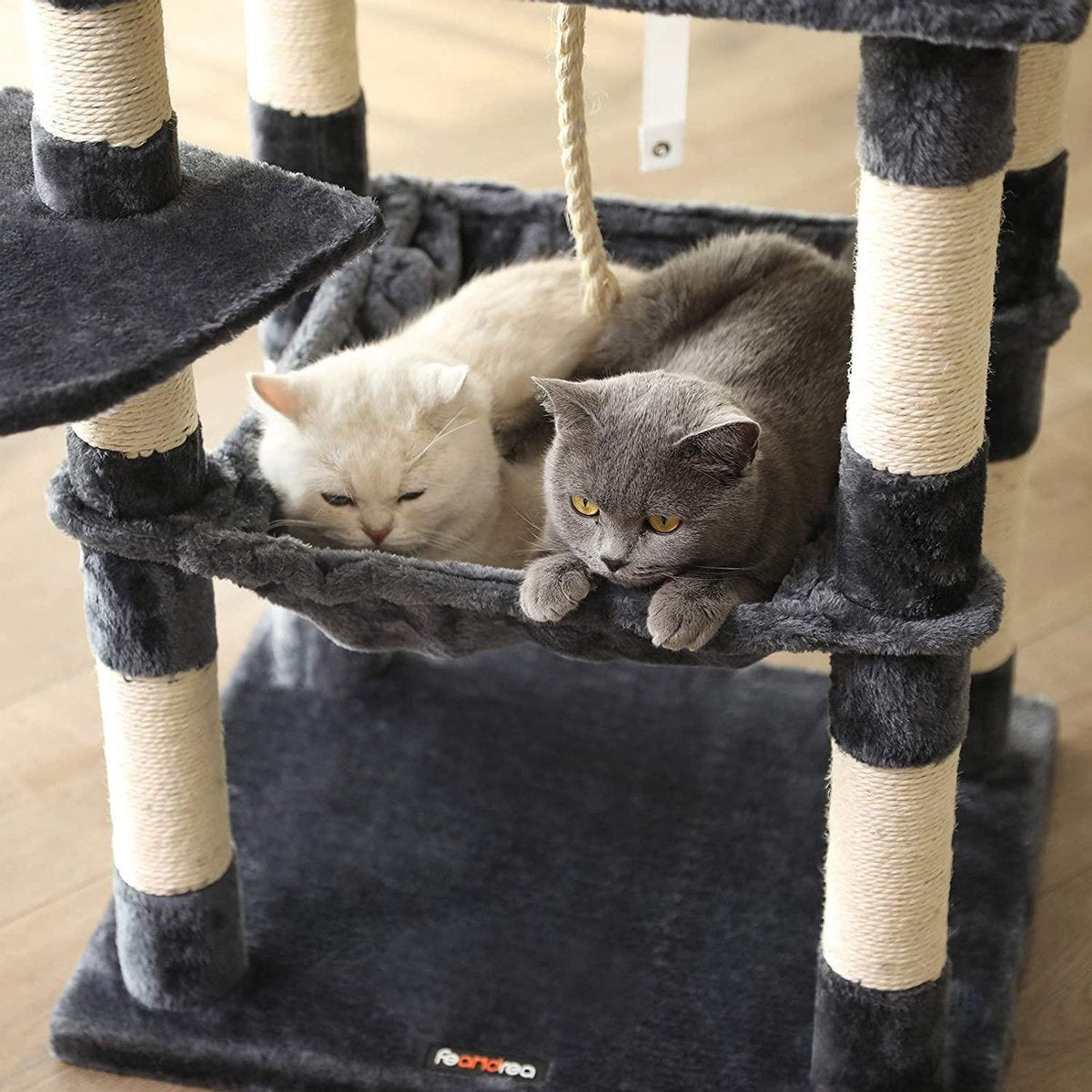  Kat Krabpaal Voor Meerdere Katten - Met Hokje En Plateaus - Grote Of Kleine Katten - Grijs En Wit
