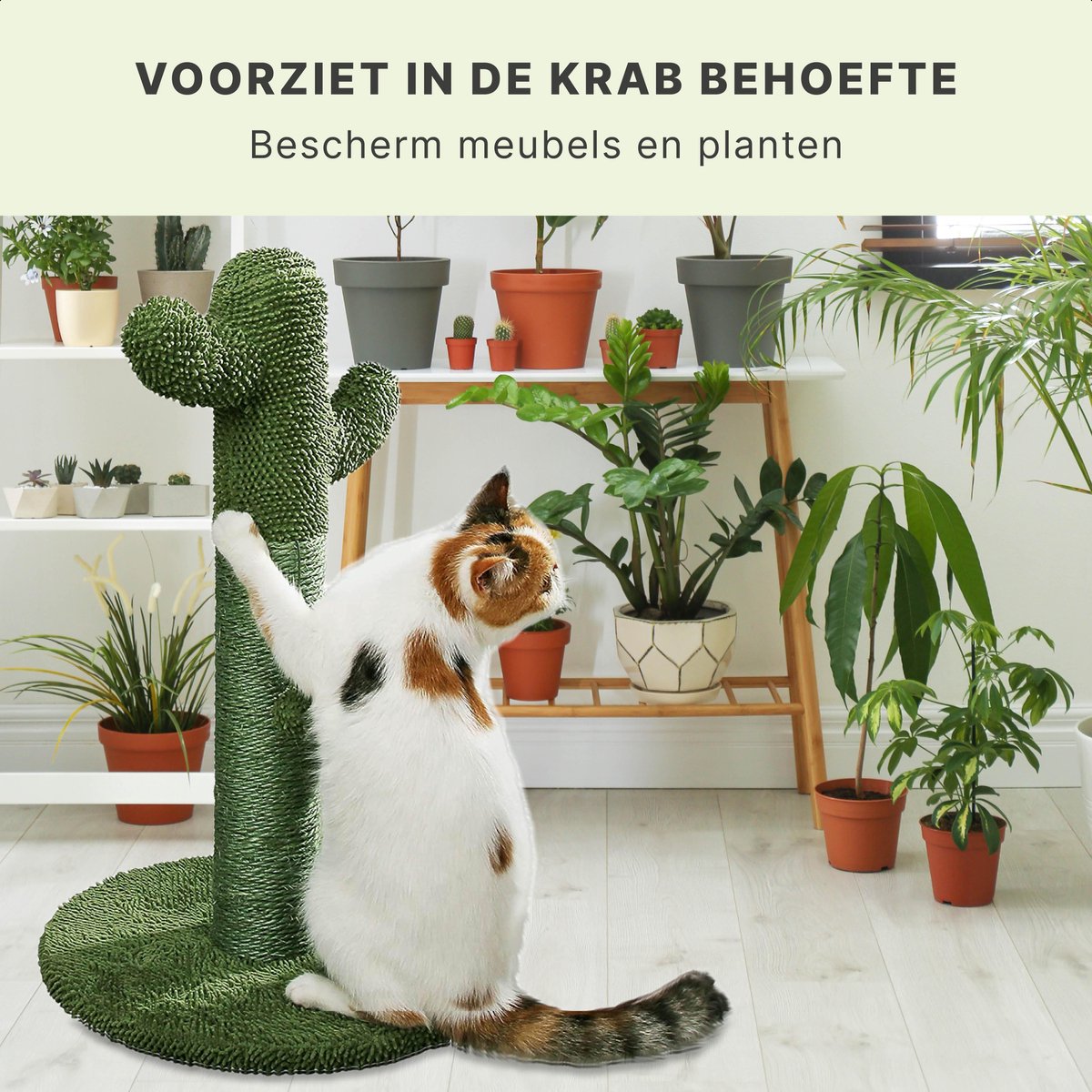  Krabpaal Voor Katten - Cactus - Met Kattenspeeltje - H 65 Cm