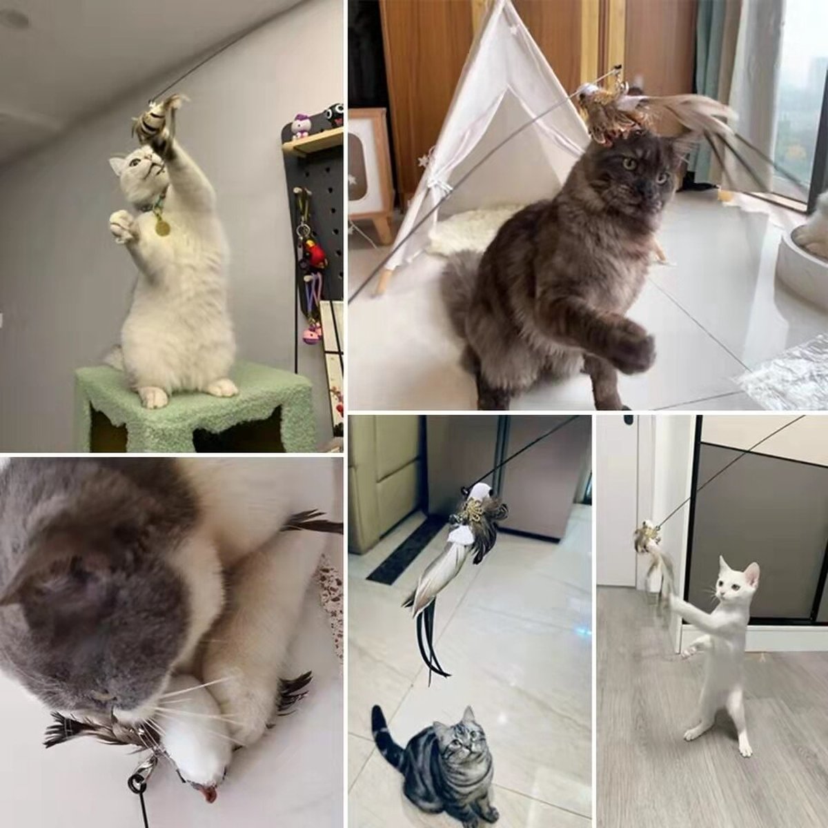  Kattenspeelgoed - Simulatie Vogel - Interactieve Grappige Kattenspeeltjes - Kattenhengel Met Zuignap + 4 Vogels + Een Kattenhengel GRATIS