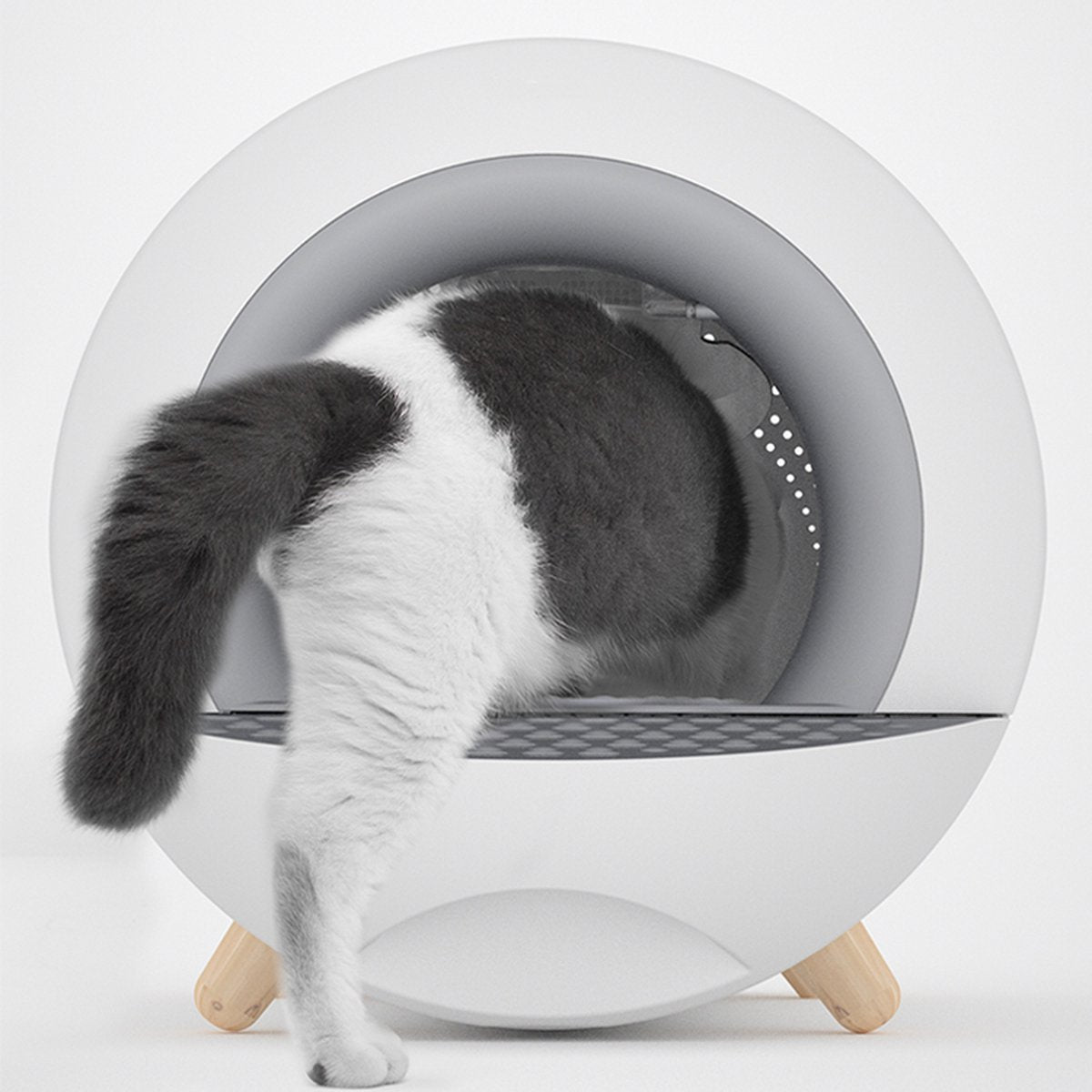  XL Kattenbak - Tunnel Met Geurfilter En Lade - Design Kattenbak