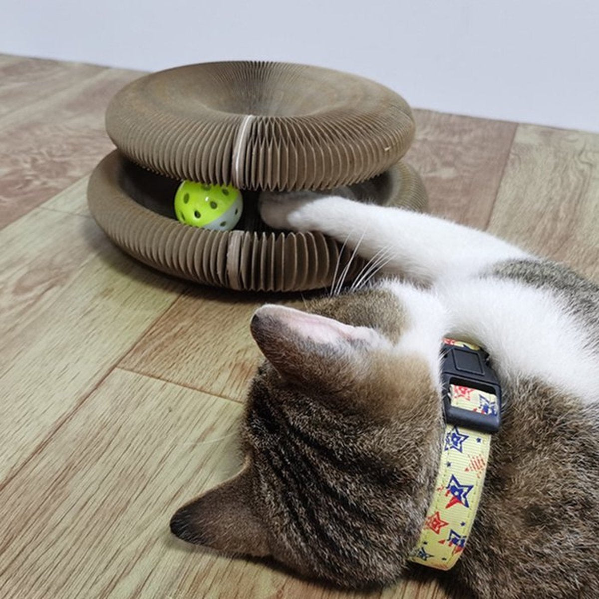  Magic Organ Cat Scratching Board Speelgoed |Magic Krab Karton Krabmat Voor Katten Design Krabkarton Voor Katten 2in 1 Met Speelgoed Balletje- Kattenspeeltjes - Alternatief Voor De Katten Krabpaal - Kattenspeelgoed -TikTok - TikTok Made Me Buy It