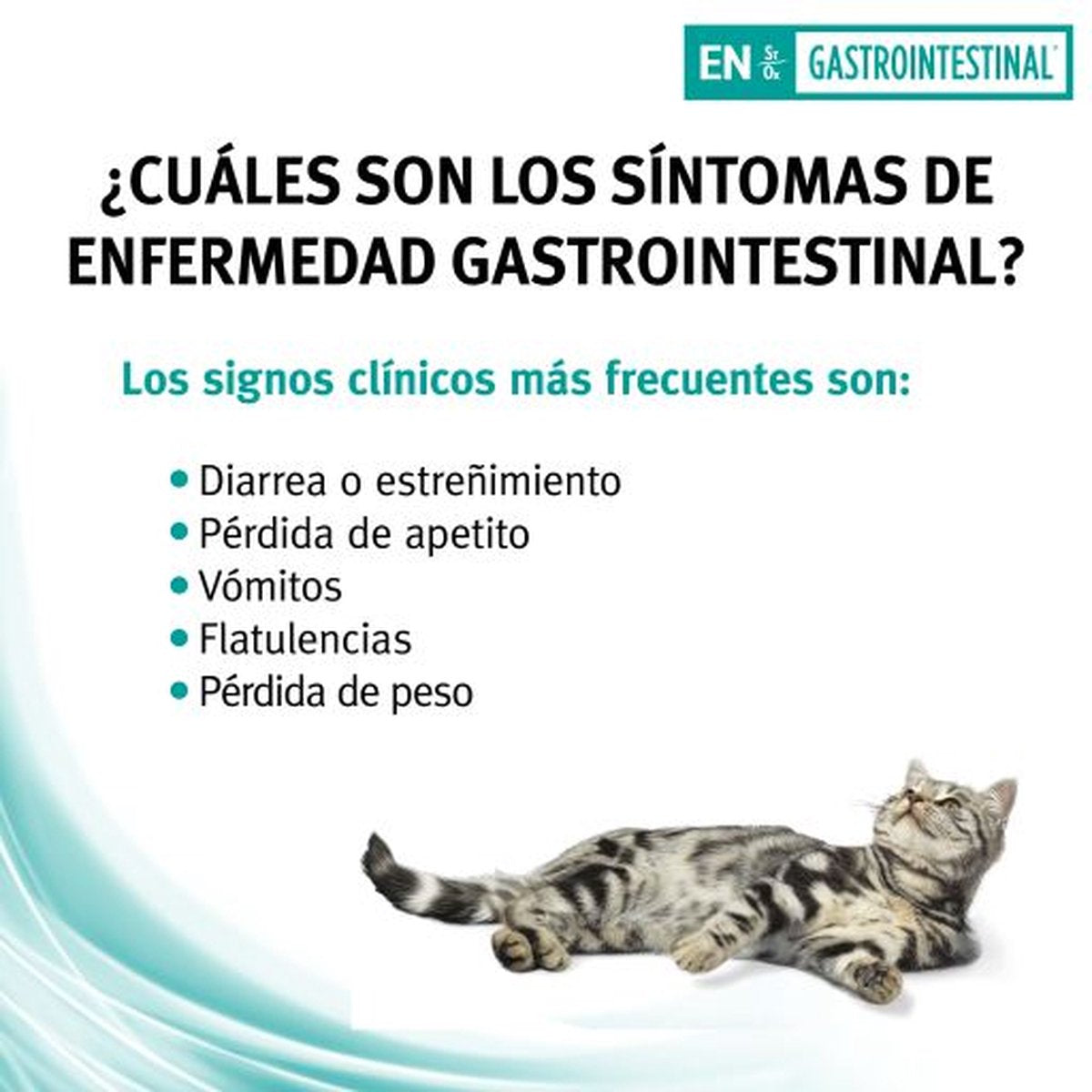  Pro Plan Veterinary Diets Feline Gastro-intestinal - Kattenvoer- 5kg
