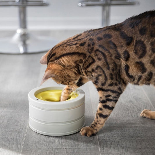 BeOneBreed Intellikatt - Slowfeeder Voor Katten - Voerpuzzel Aanbevolen Door Dierenartsen En Kattengedragsdeskundigen