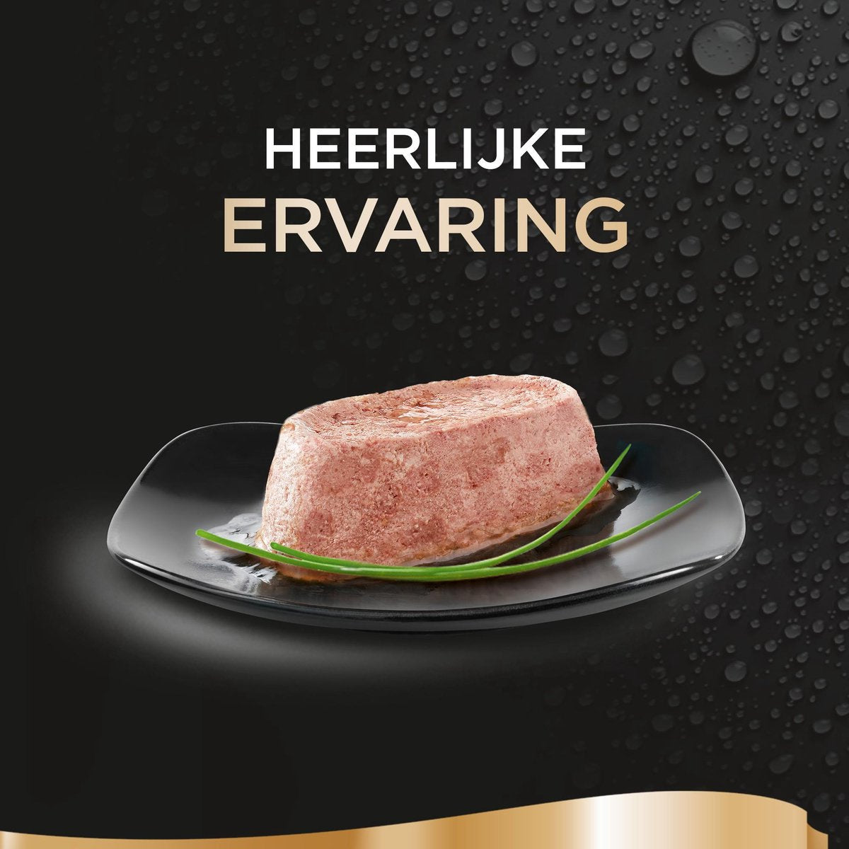  Sheba Perfect Portions Paté Katten Natvoer - Zalm - 48 Stuks