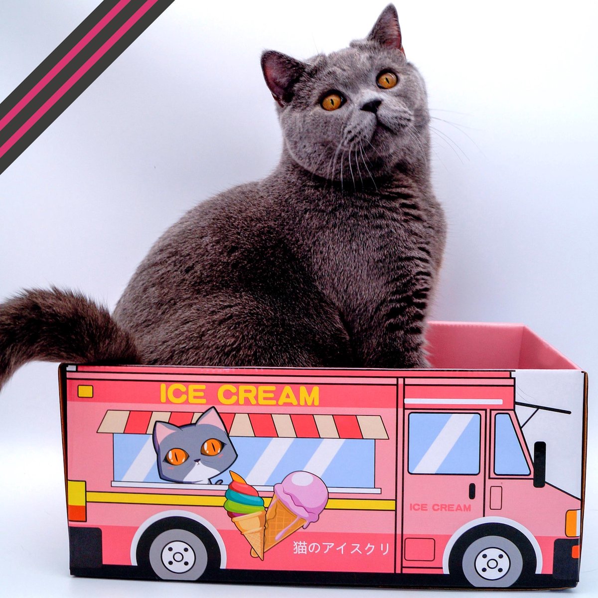  Make Me Purr Kattendoos Van Karton (Ice Cream) - Inclusief Kartonnen Krabmat - Speelgoed Doos Voor Katten Met Krab Mat - Kat Krabpaal Speeltje - Kattenbed Kattenmand Kattenhuis Kattentunnel - Kattenspeelgoed - Kattenspeeltjes - Kitten Speeltjes