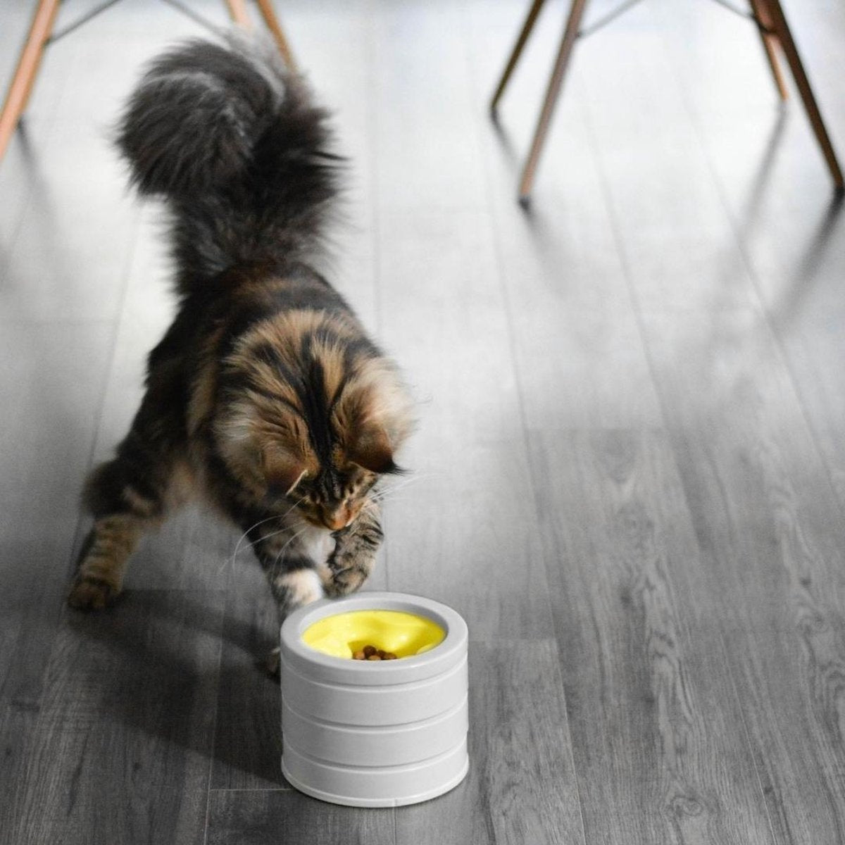  BeOneBreed Intellikatt - Slowfeeder Voor Katten - Voerpuzzel Aanbevolen Door Dierenartsen En Kattengedragsdeskundigen