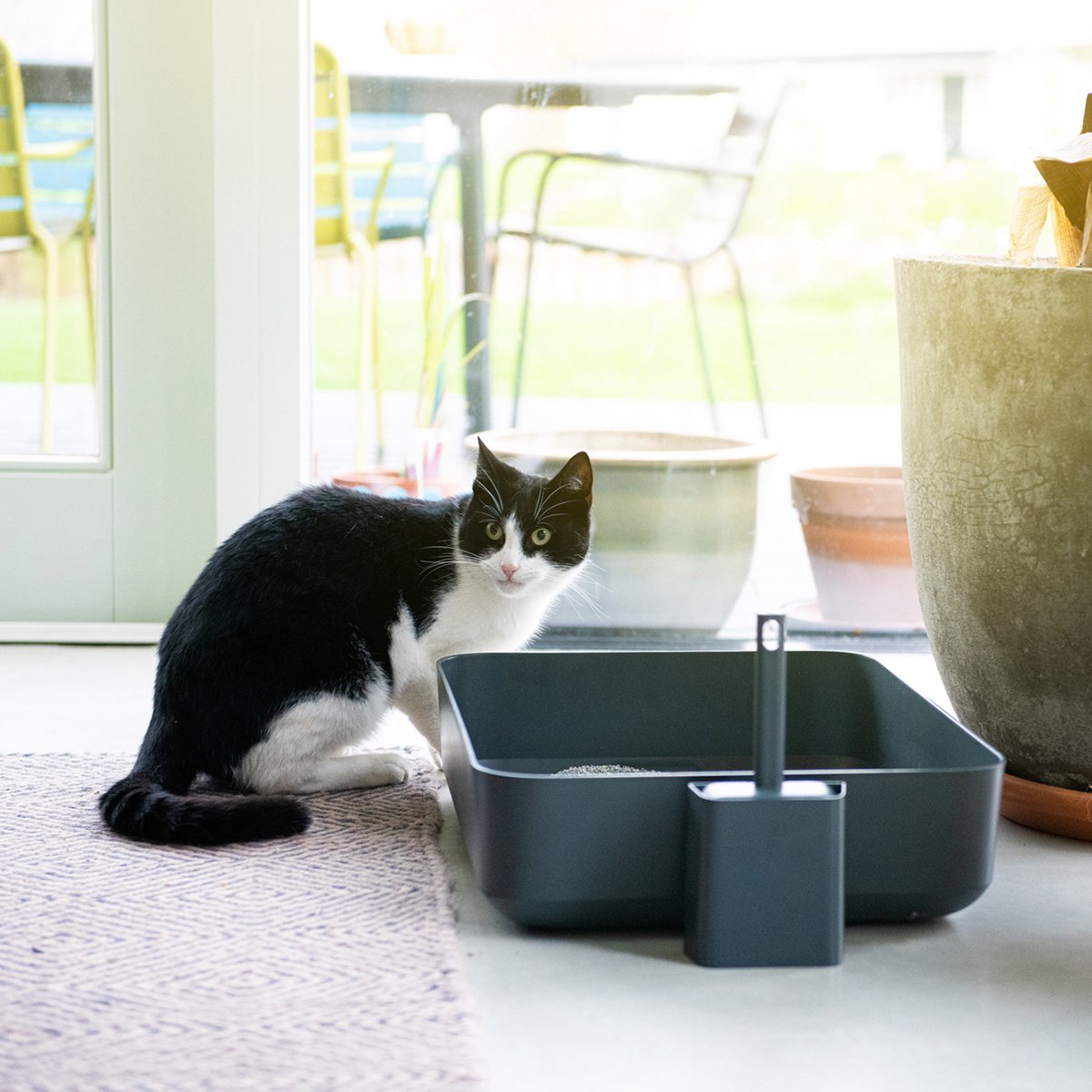  Hoopo® Poh Kattenbak Grijs - Open Kattenbak - Design Kattenbak - Kattenbakschep - 50x37.5x12.7 Cm - Grote Kattenbak