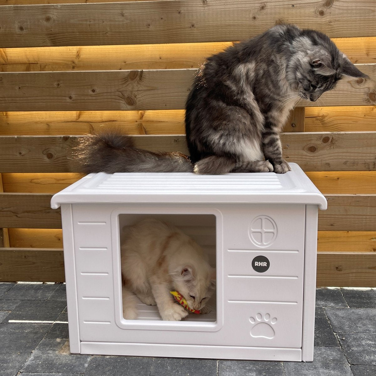  RHRQuality Kattenhuis Voor Binnen En Buiten Kattenhok Villa De Luxe Wit 60cm