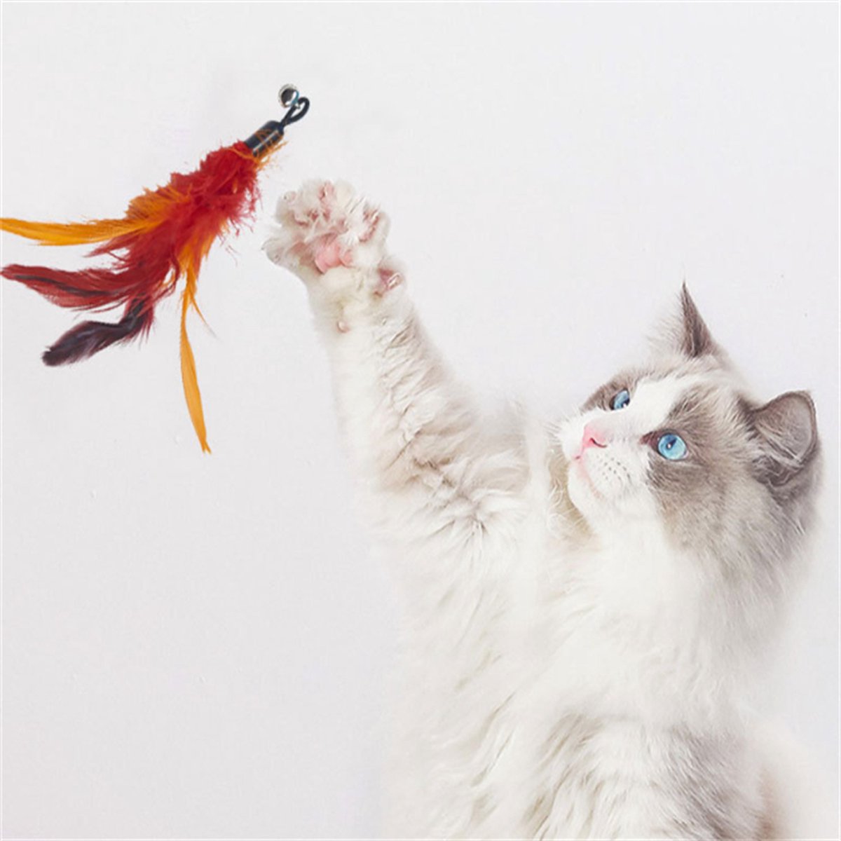 Merkloos Kattenhengel Met 10 Opzetstukjes - Kat Speelhengel Met Veren - Speelgoed Hengel Voor Katten – Kittenspeeltjes Met Veer – Kattenspeelgoed – Katten Speeltjes