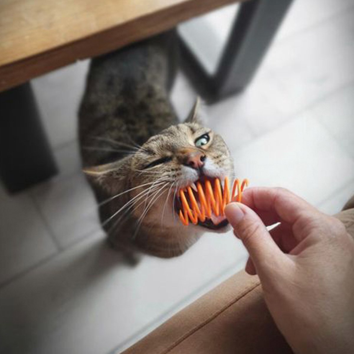  Pettadore Springs - Kattenveertjes - Kattenspeelgoed - Kattenspeeltjes - 9 Stuks