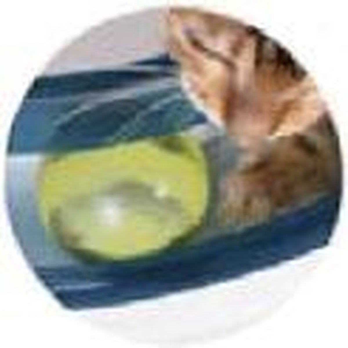  Catit Design Senses Play Circuit - Kattenspeelgoed