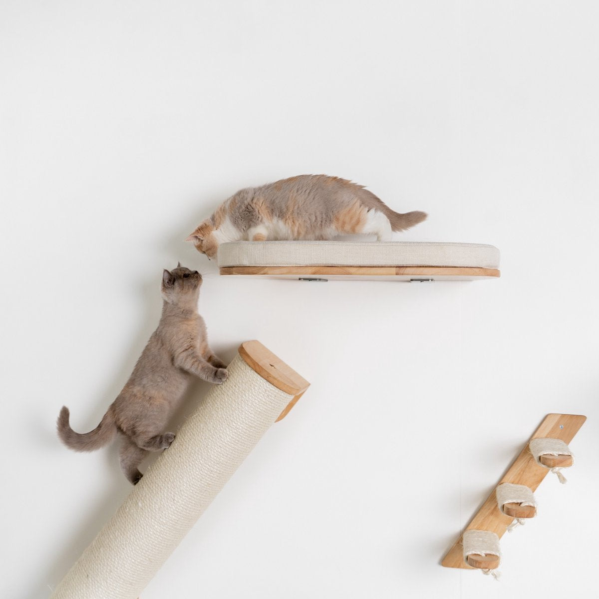  RHRQuality Wandmeubel Wandmontage Klimmuur Kat 53 X 43cm Luxe Kattenbed Creme Wand Muur Krabpaal Katten Muurbevestiging