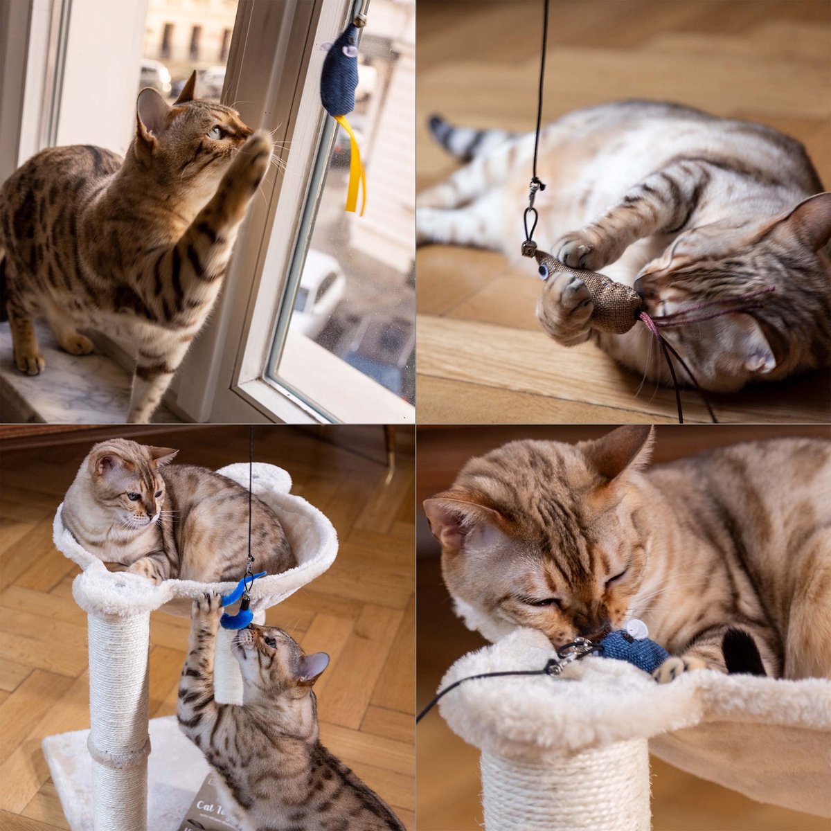  PRETTY KITTY Cat Toy Set Vegan: Grote 15-delige Kattenspeelset Met Kattenhengel, Nepveren En Kattenkruid Speelgoed Kat