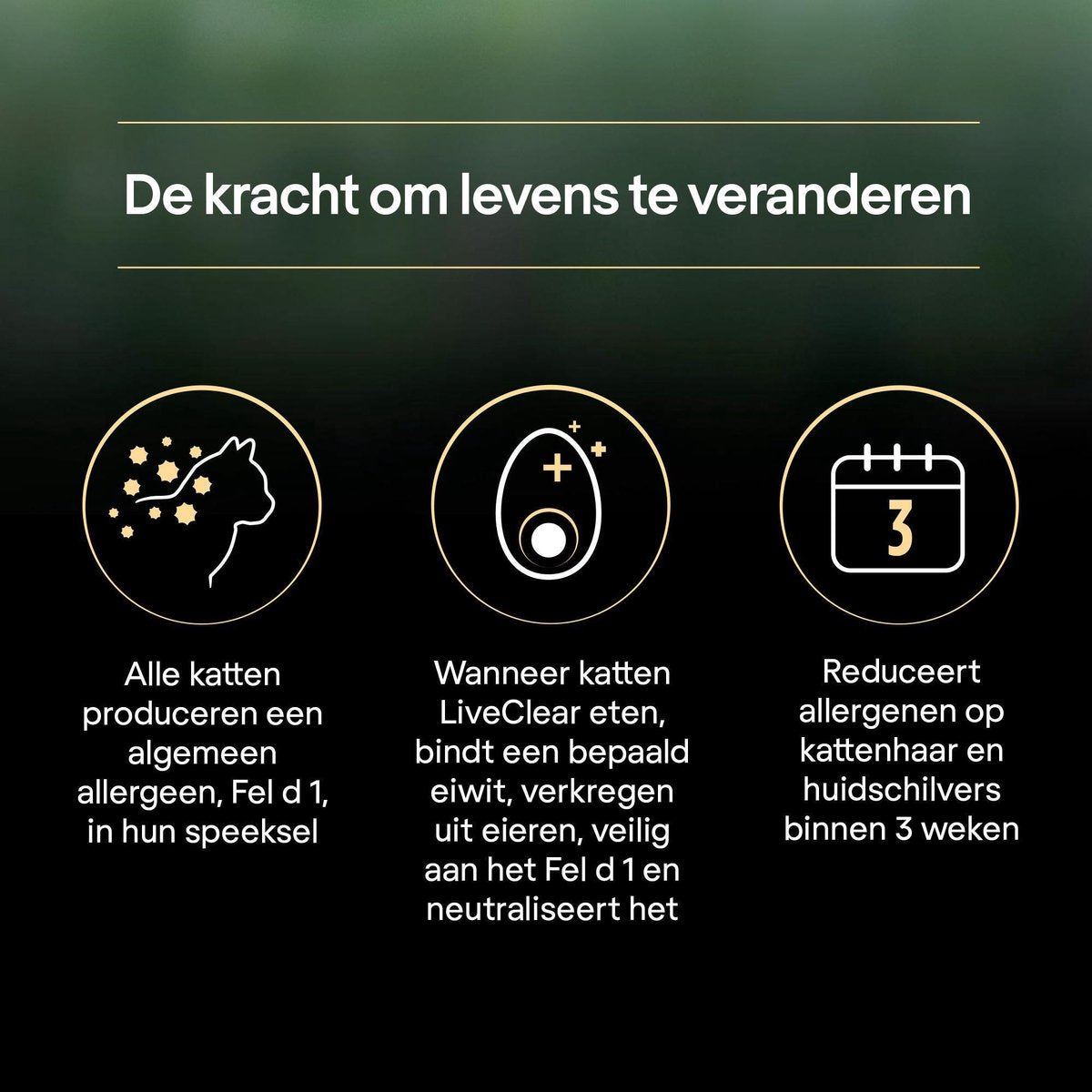  Pro Plan Senior LiveClear Katten Droogvoer - Kalkoen - 1,4 Kg
