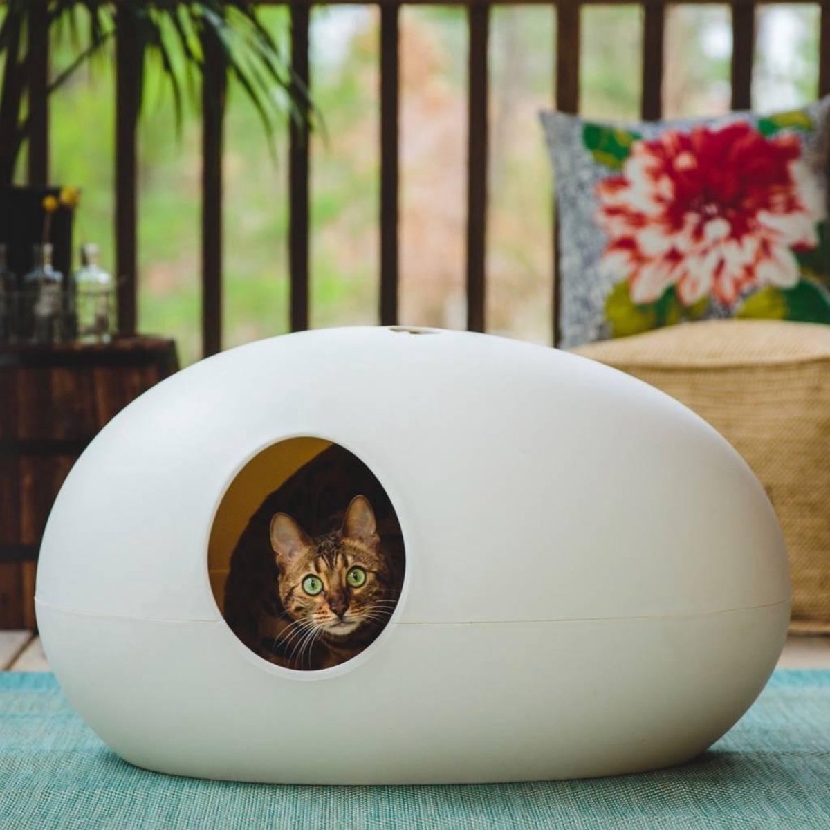  SinDesign Poopoopeedo Kattenbak - Zwart