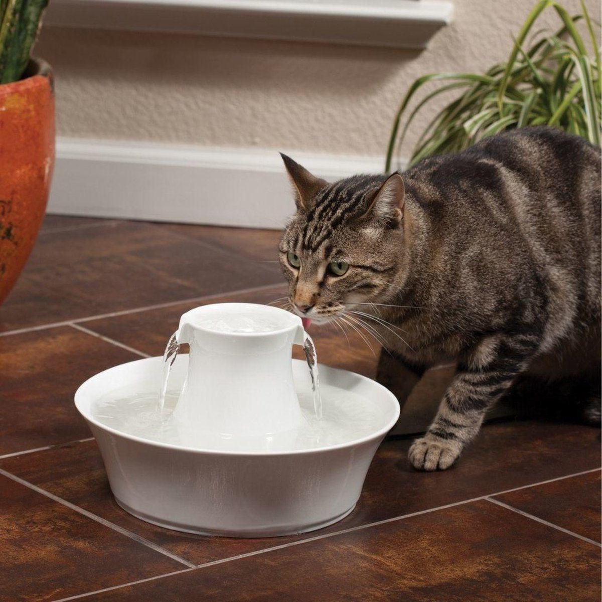  Petsafe Drinkwell Ceramic Avalon - Drinkfontein - 2 L