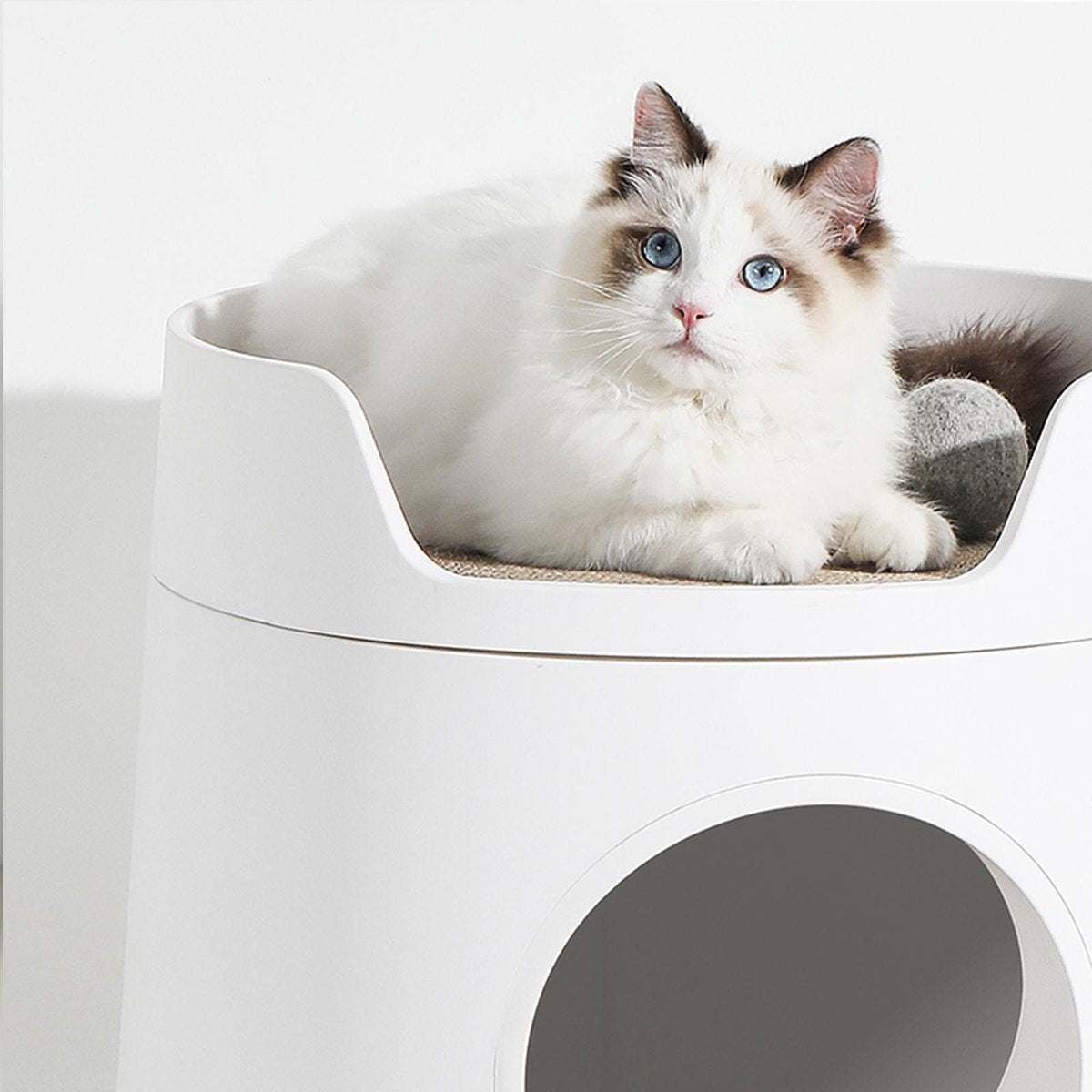  A Sunny Day Kattenbak Met Lade, Bedje En Krabplank - Inclusief Schepje - Design Kattenbak - Wit - Dichte Kattenbak - Kattenbak Gesloten