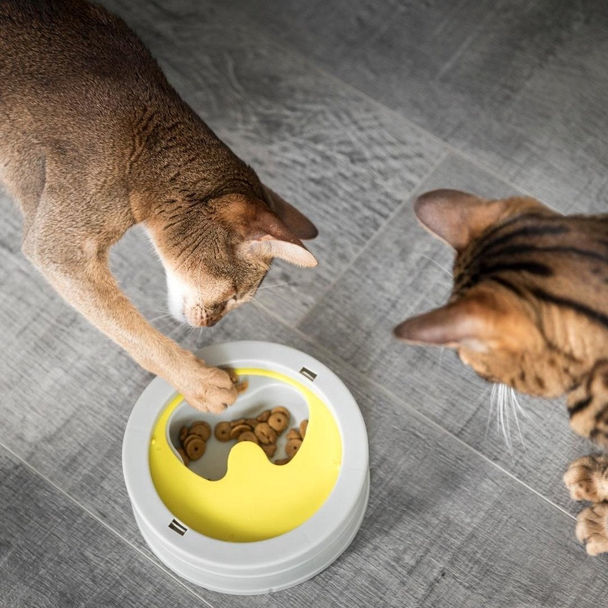  BeOneBreed Intellikatt - Slowfeeder Voor Katten - Voerpuzzel Aanbevolen Door Dierenartsen En Kattengedragsdeskundigen