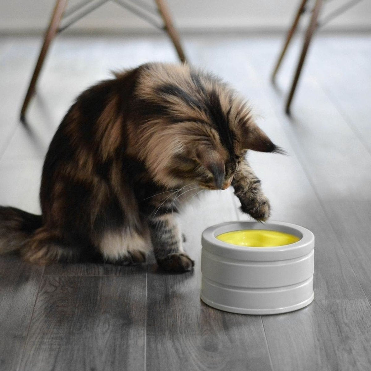  BeOneBreed Intellikatt - Slowfeeder Voor Katten - Voerpuzzel Aanbevolen Door Dierenartsen En Kattengedragsdeskundigen