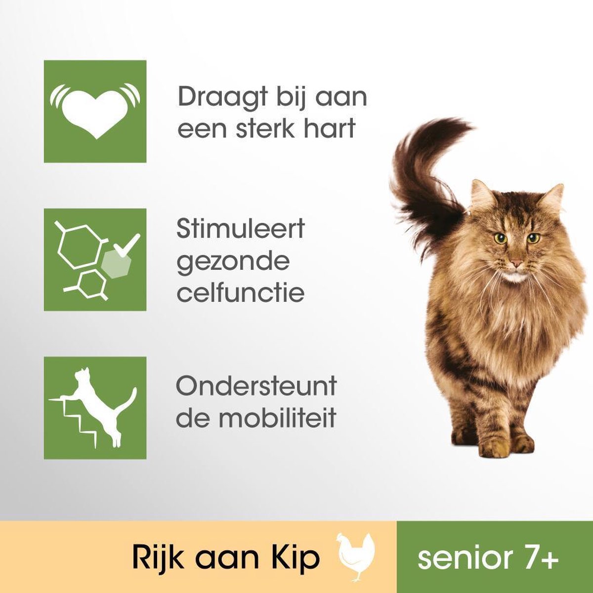  Perfect Fit Senior 7+ Katten Droogvoer - Kip - 4 X 750 Gr
