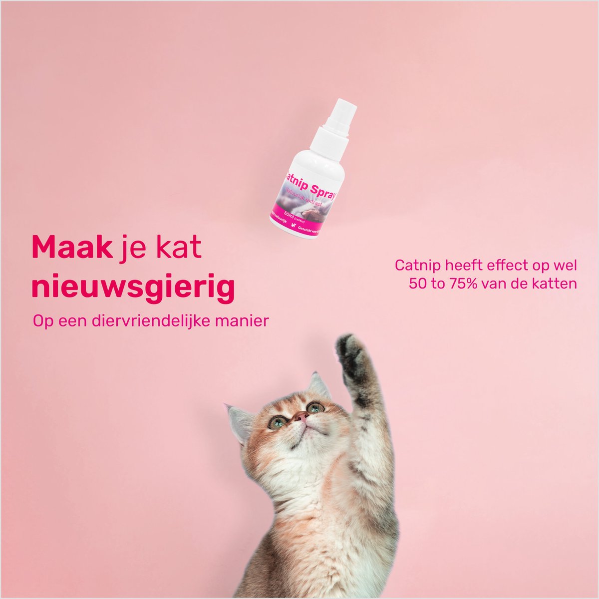  LBB - Catnip Spray 50ML - 100% Natuurlijk - CE Gekeurd - Kattenkruid Spray - Catnip Speelgoed - Valeriaan - Kat - Katten