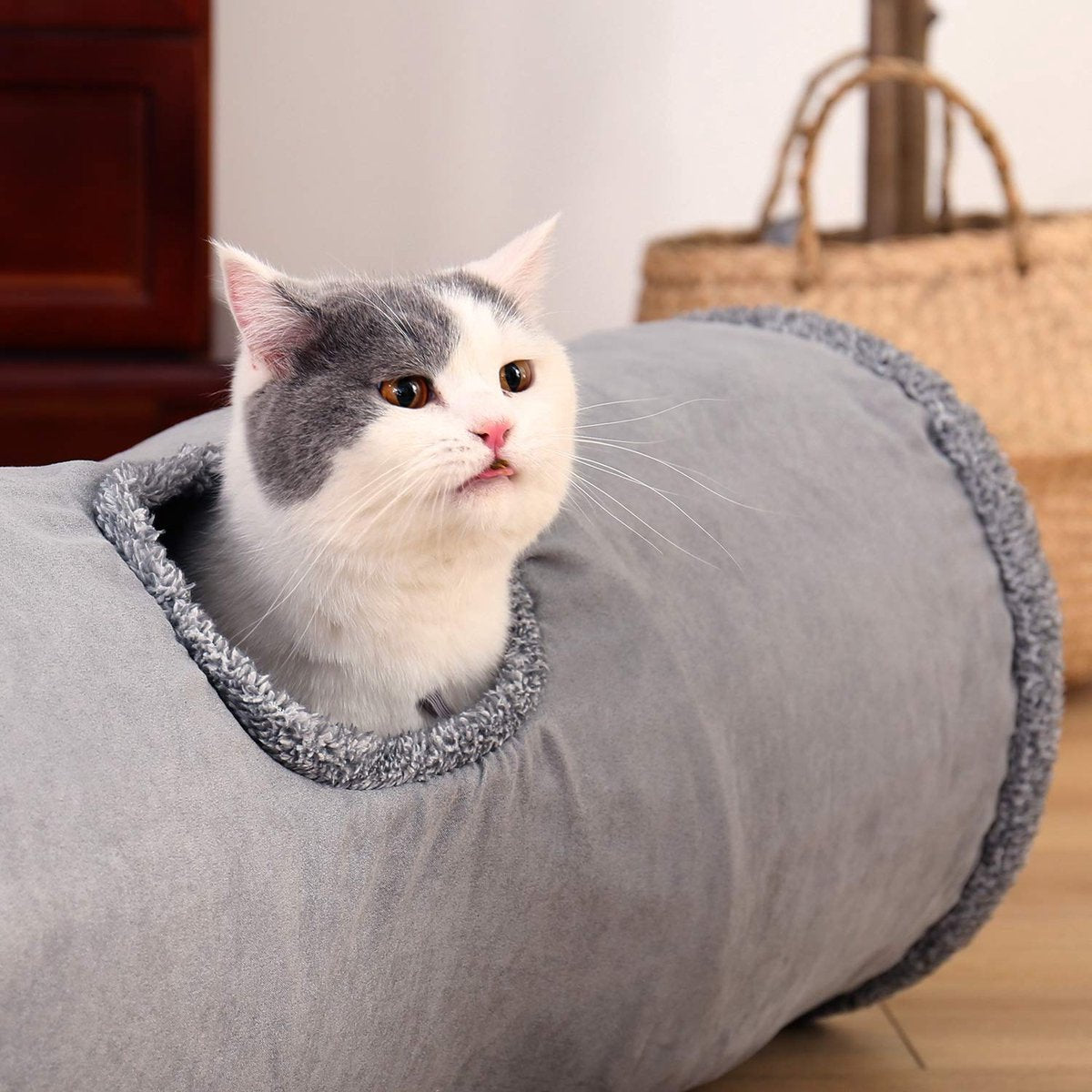  Bonbox Shop - Kattentunnel - 130 CM - Katten Speelgoed - Kitten - Spelen- Speeltunnel - Speelgoed Voor Katten