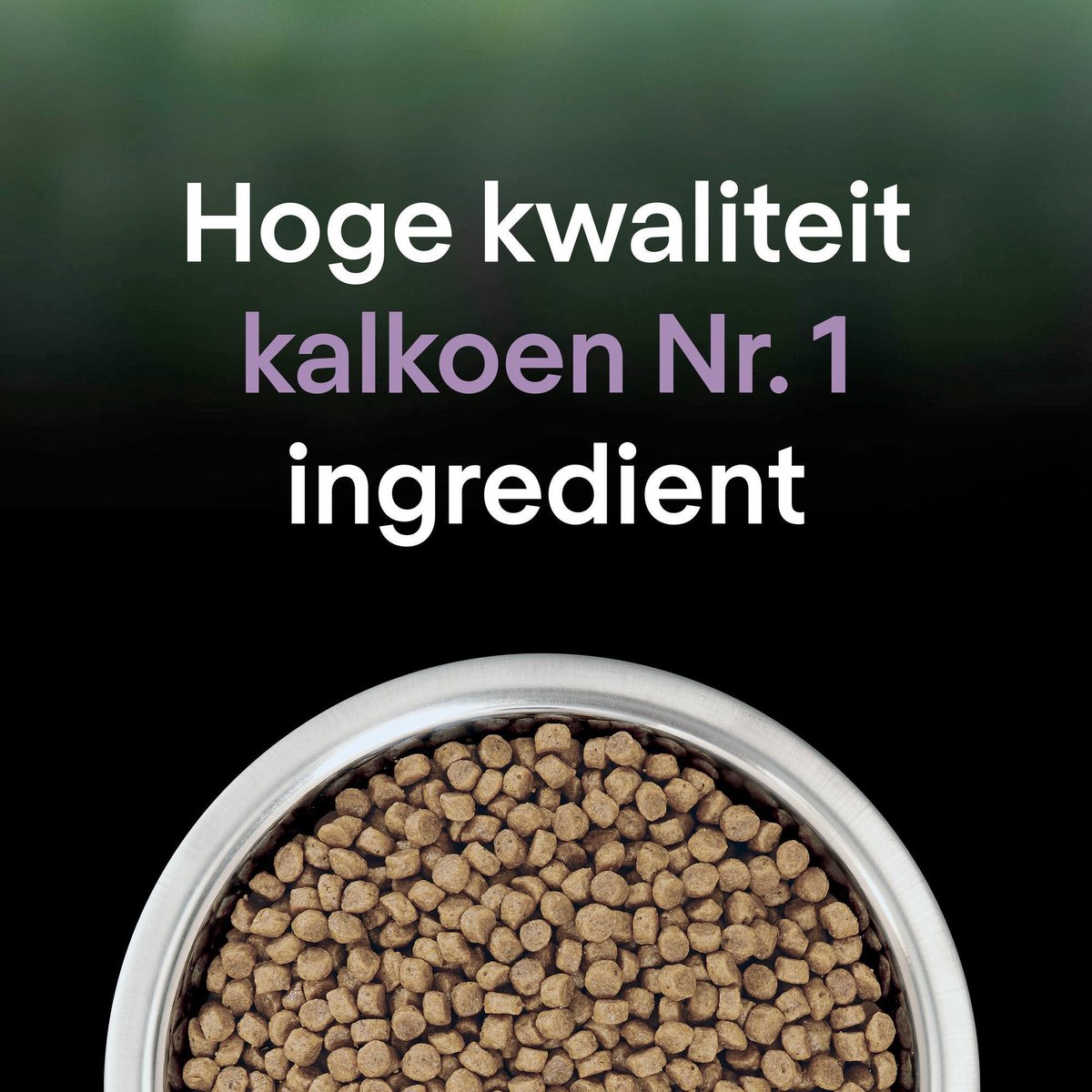  Pro Plan Adult LiveClear Katten Droogvoer - Kalkoen - 1,4 Kg