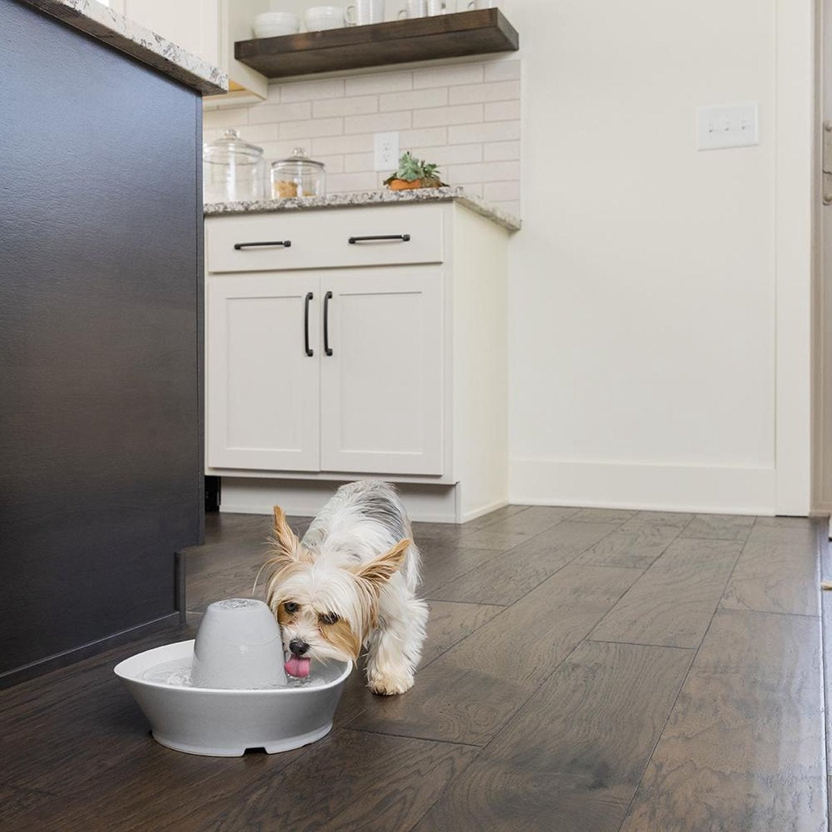  PetSafe® Streamside Ceramic Pet Fountain - Keramische Drinkfontein Voor Katten En Kleine Honden - Water Borrelt Zacht Over De Toren - Door Het Design Van Alle Kanten Bereikbaar - 1,8 Liter - PetSafe Streamside