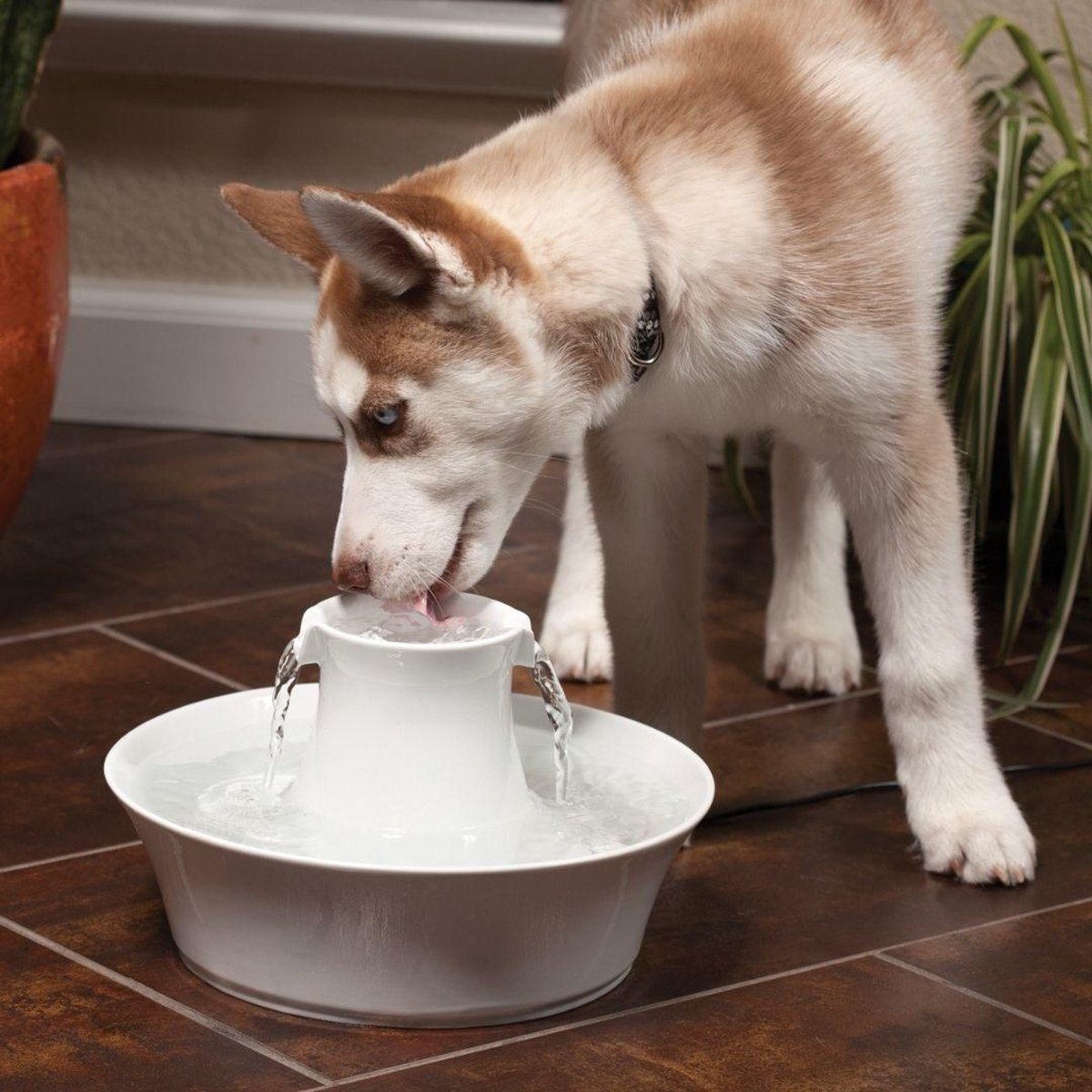  Petsafe Drinkwell Ceramic Avalon - Drinkfontein - 2 L