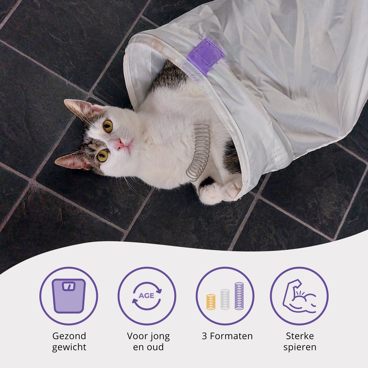  Pettadore Springs - Kattenveertjes - Kattenspeelgoed - Kattenspeeltjes - 9 Stuks