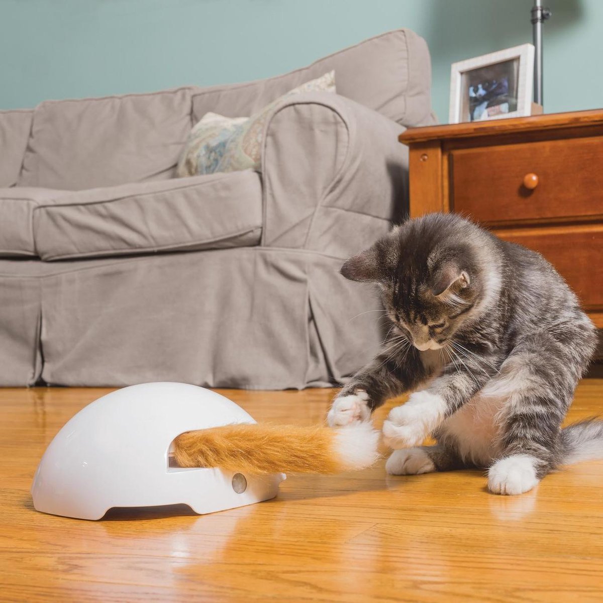  FroliCat Vossenhol - Automatische Kattenplager - Kattenspeelgoed