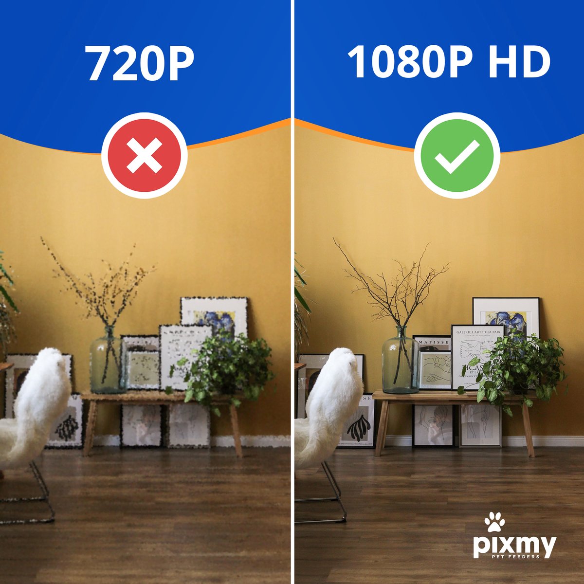  PIXMY - Automatische Voerbak Kat - 4L - Wi-Fi - Met App En Full HD Camera - Voerbak Kat