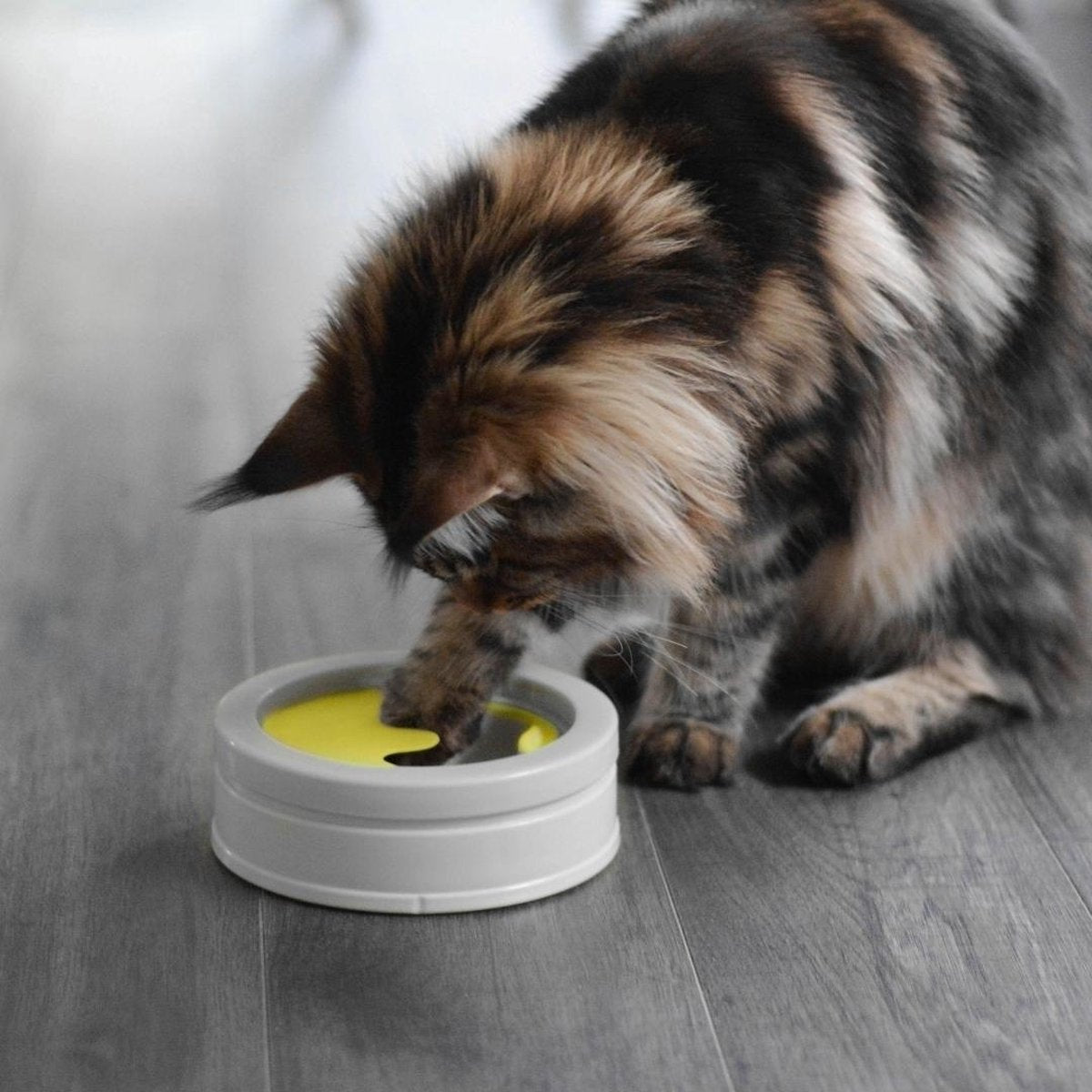  BeOneBreed Intellikatt - Slowfeeder Voor Katten - Voerpuzzel Aanbevolen Door Dierenartsen En Kattengedragsdeskundigen