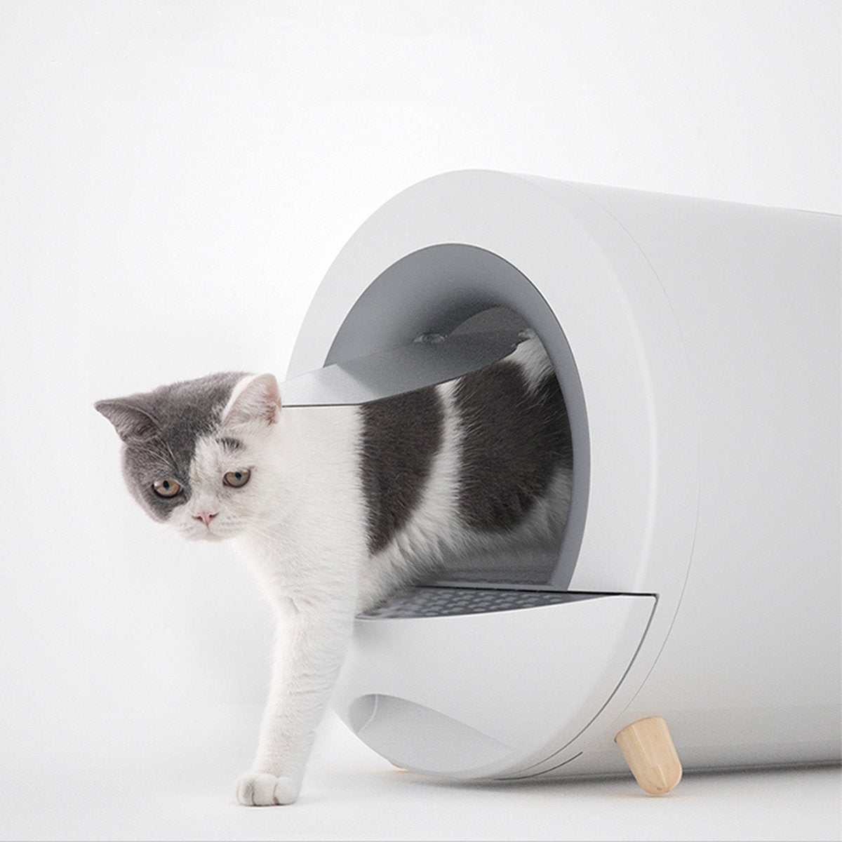  XL Kattenbak - Tunnel Met Geurfilter En Lade - Design Kattenbak