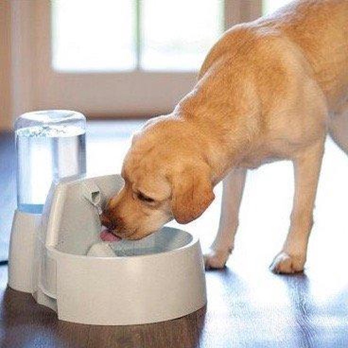  Petsafe Drinkwell Platinum - Drinkfontein - 5 L