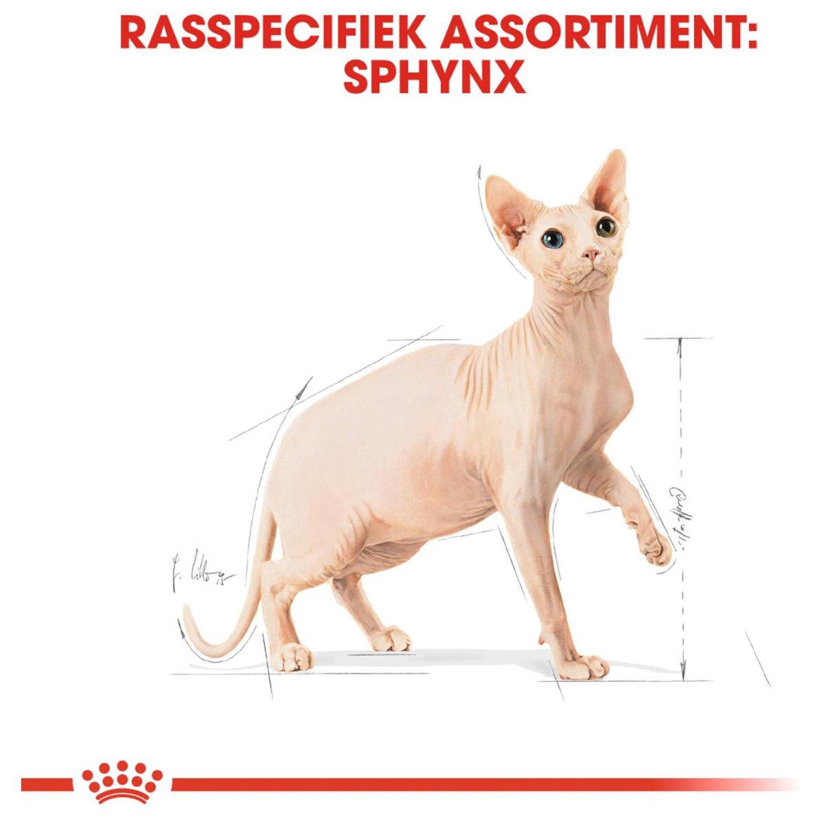  Royal Canin Sphynx Adult - Kattenvoer - 10 Kg