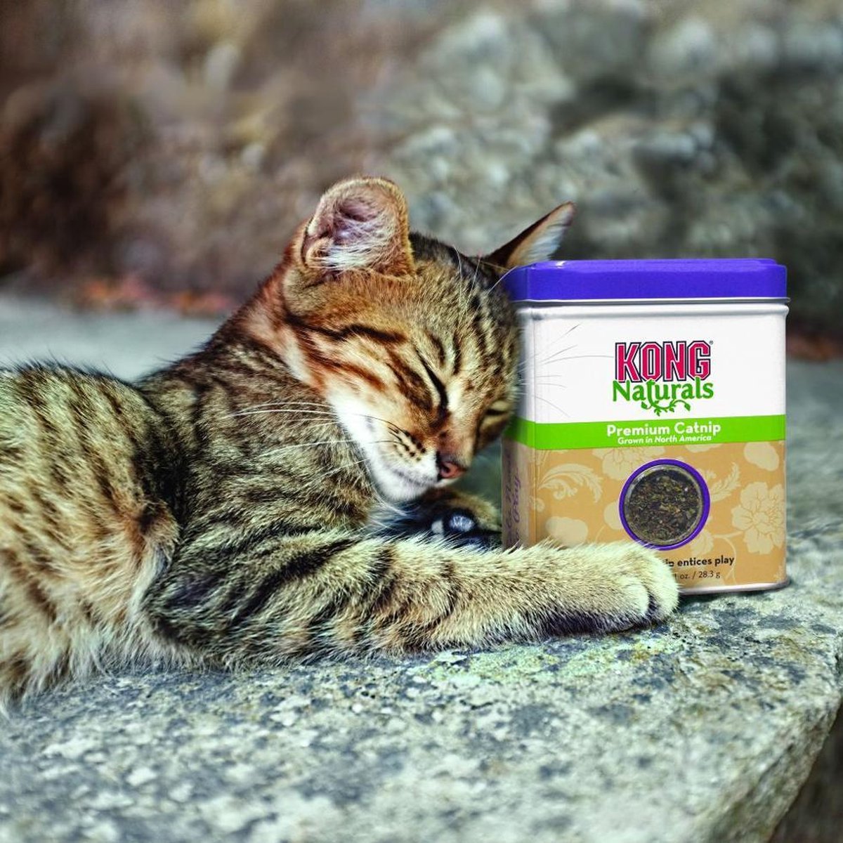  Kong Catnip Navulling - Kattenkruid - 30 G