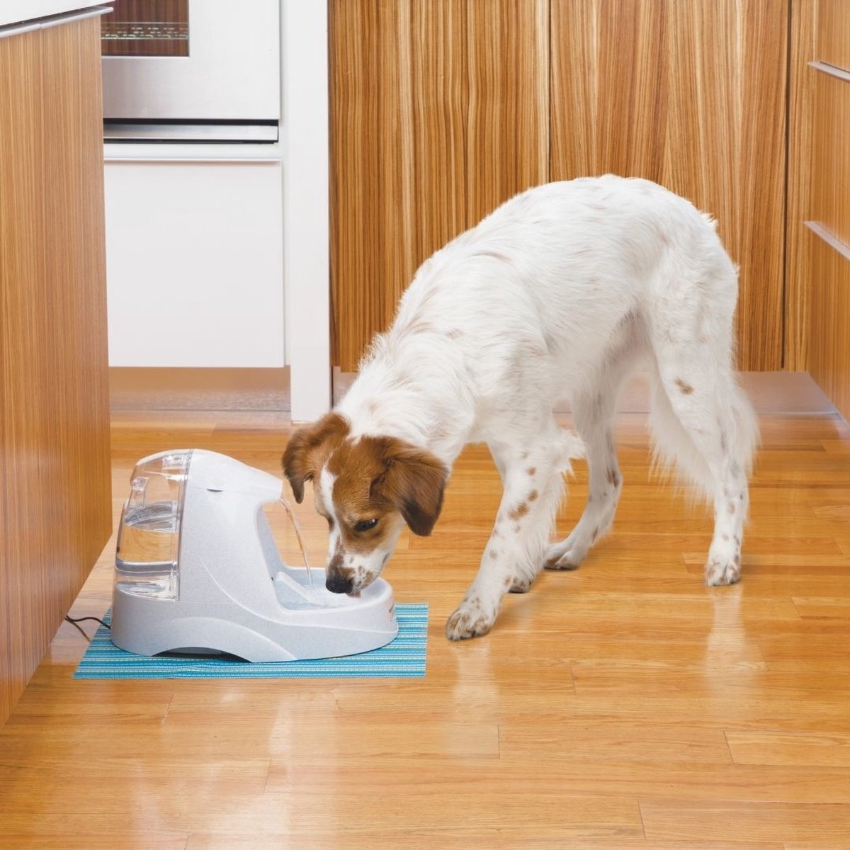  Petsafe Drinkwell Platinum - Drinkfontein - 5 L