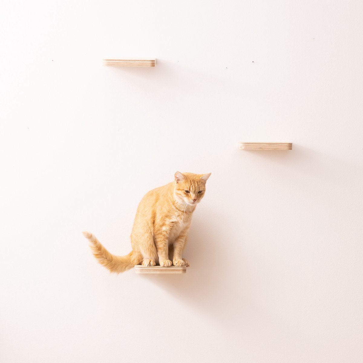 Navaris Katten Klimmuur 3 Tredes - 18 X 18 X 1,5 Cm Per Plankje - Katten Klimwand Van Hout - Inclusief Bevestigingsmateriaal