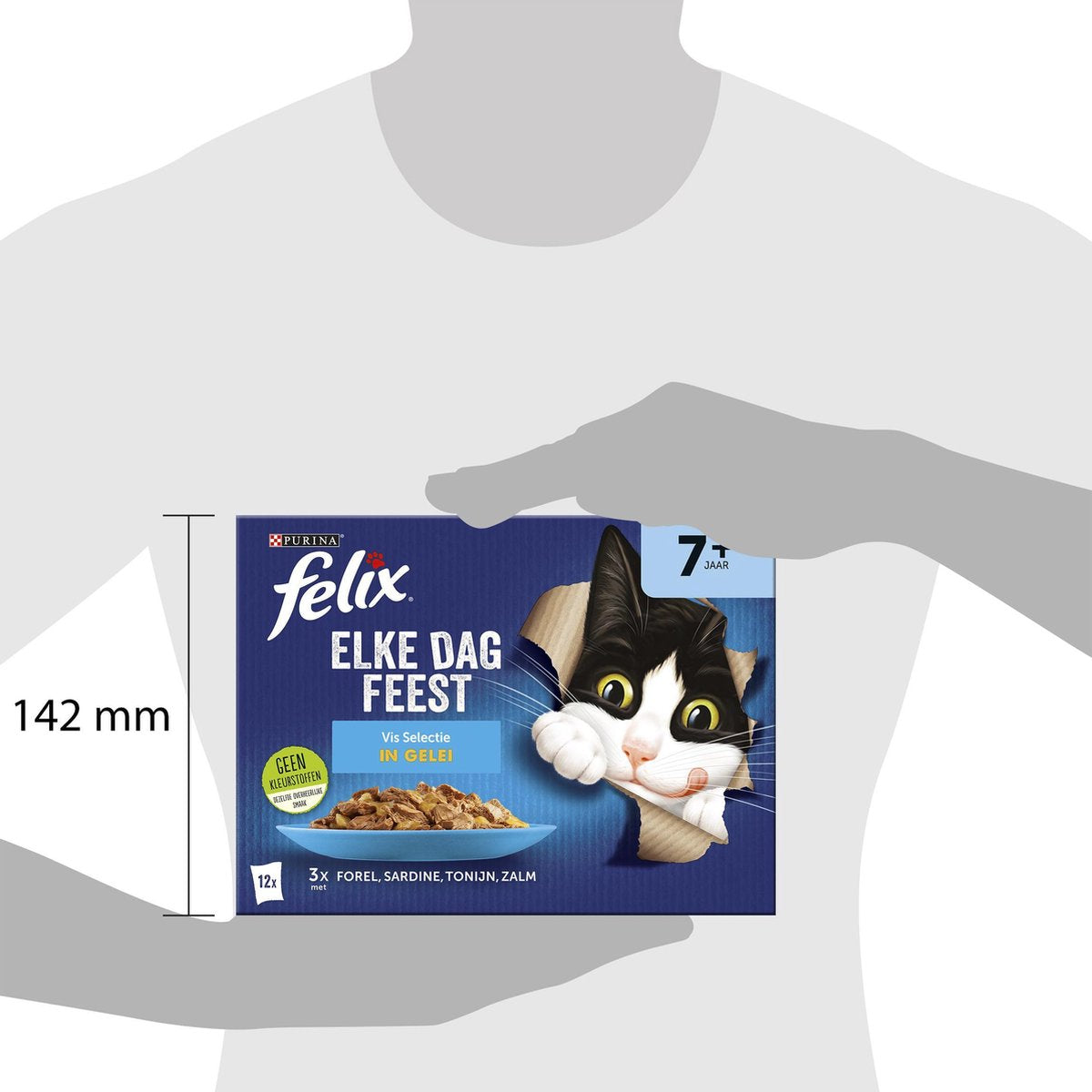  Felix Elke Dag Feest Vis 7+ Senior - Katten Natvoer - 48 X 85g